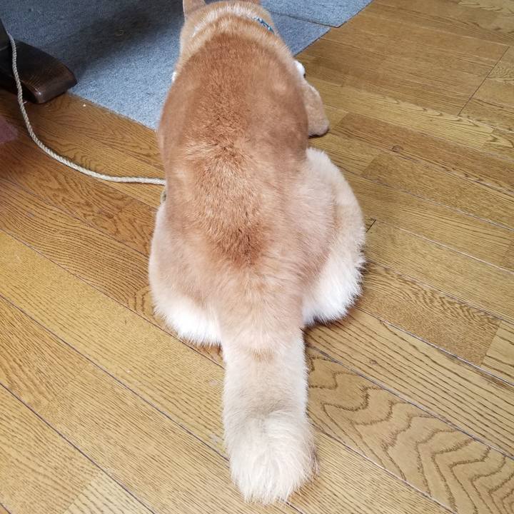 6abfb3d7 f2b7 4840 9818 2e3bf81a32ce 1703462746580