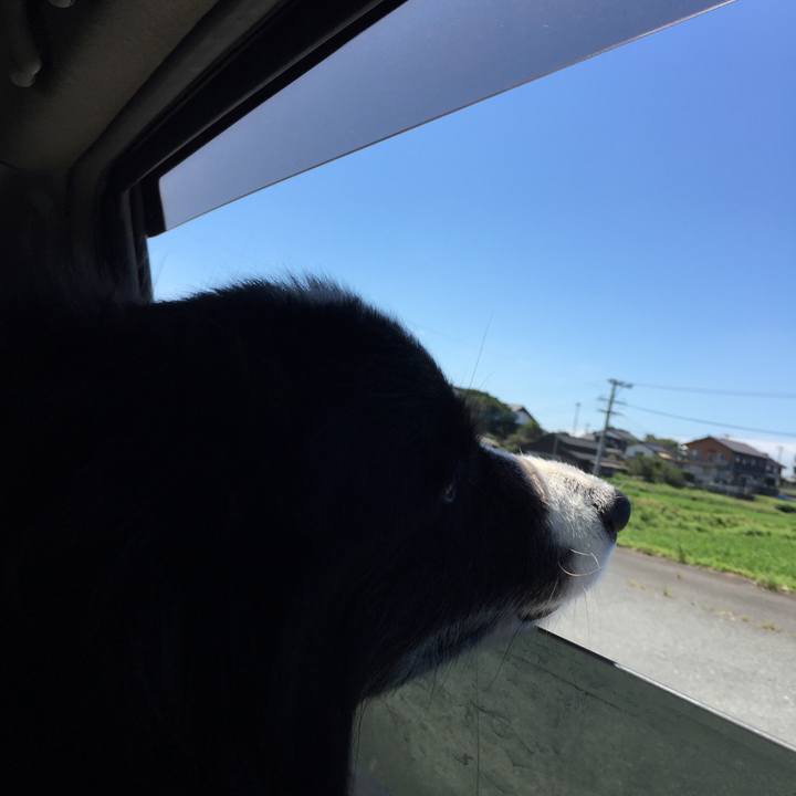 6abfe996 6326 490d 9d15 bbb3dc7c50ca 1567997078303