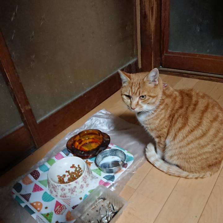 6ac05d6b 4dc6 4faf a2af f125330e75f8 1606381023712