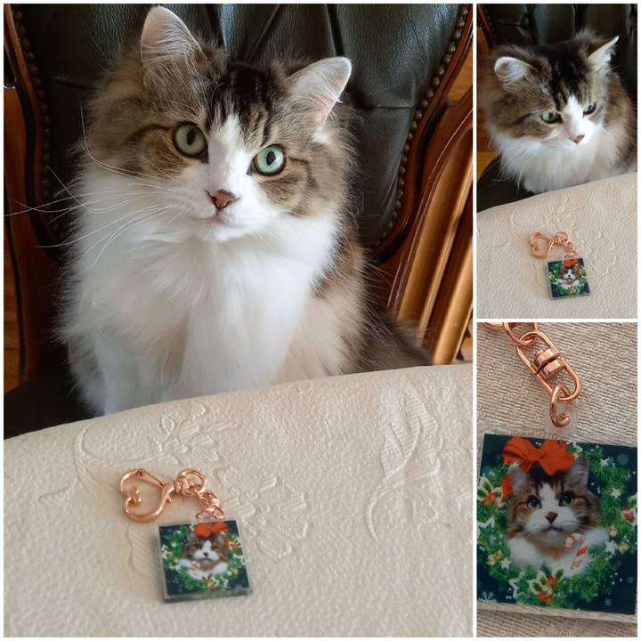 6ac07607 7511 4a0f 8380 70cff96480db 1643171460273