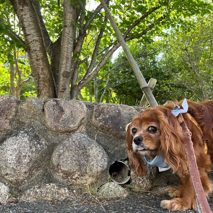 6ac077fb b85c 478d 94d2 5e66235ca0af 1718408682251