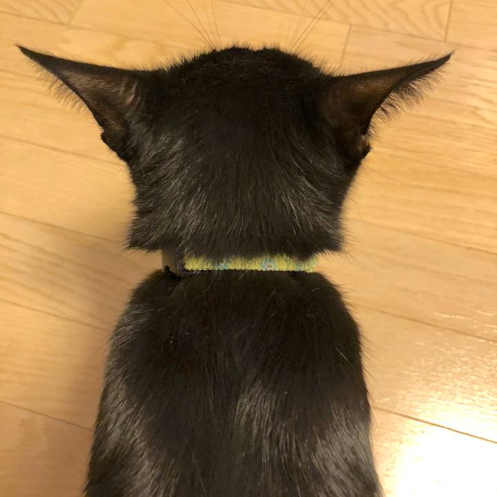 6ac0abb0 9b44 46ed 9bc1 663f4b175505 1537616698567