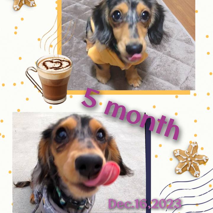 6ac16d2e 9fdc 455e 8714 28bf55fa76c6 1702686999621