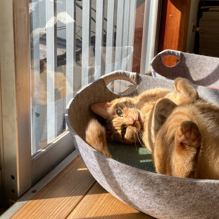 6ac1c0b0 6165 47e4 aa00 8ce22b2a6d92 1613569918975