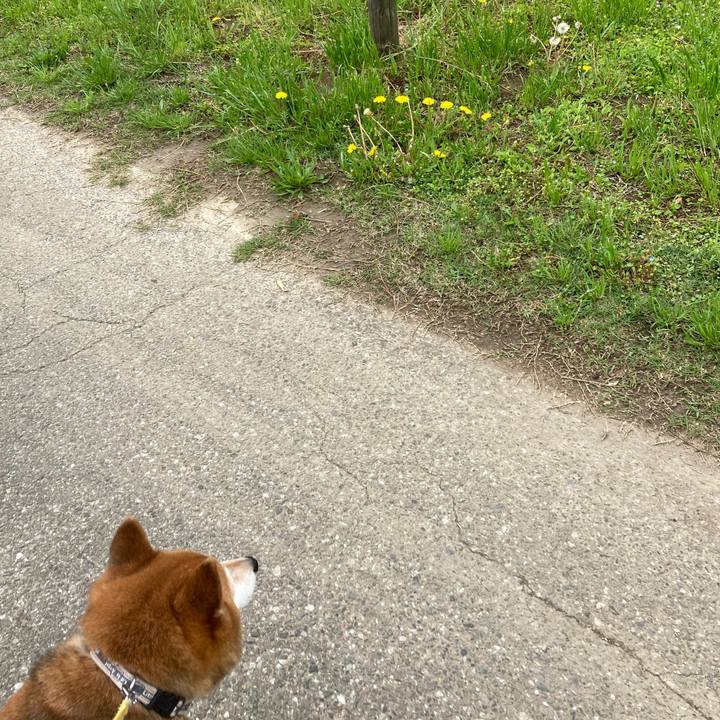 6ac20f74 6260 471c 8f52 86f12d92bed0 1650773485264