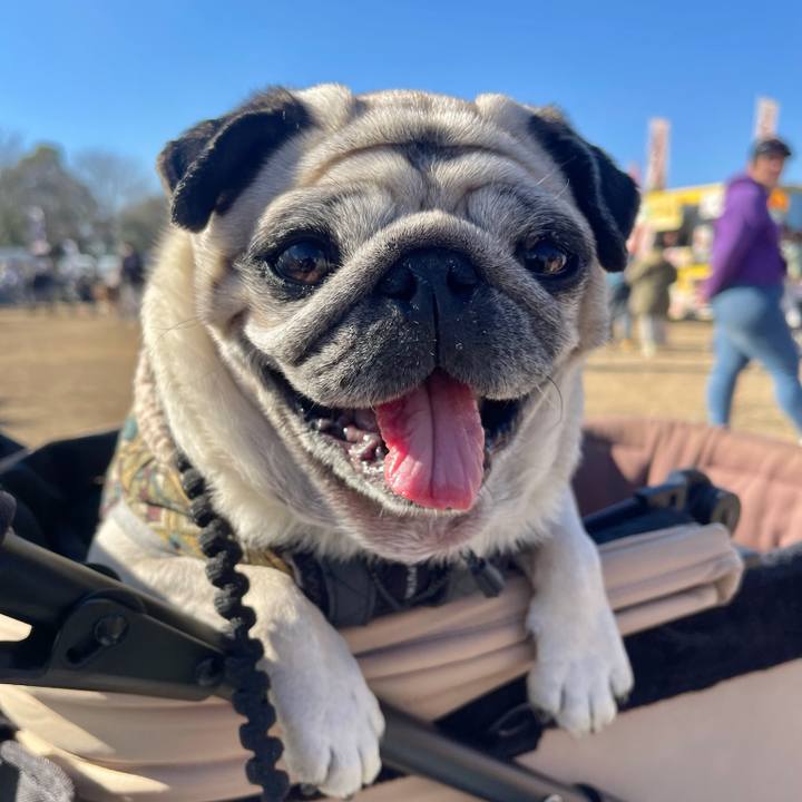 6ac224af fea8 49fa 8f18 006d0227084b 1765237086995