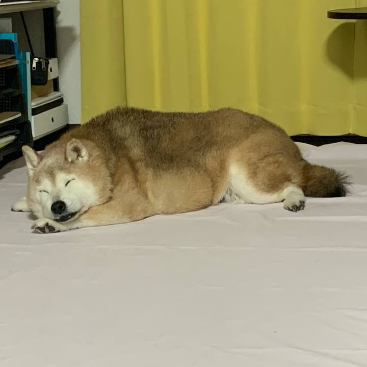 6ac23937 65b5 4f60 ba85 a8b071053690 1676718196275