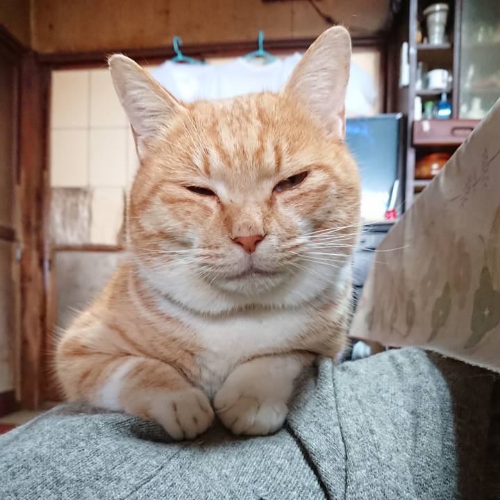 6ac23a68 1c52 4ac2 b0c6 26389b505c89 1577933383759