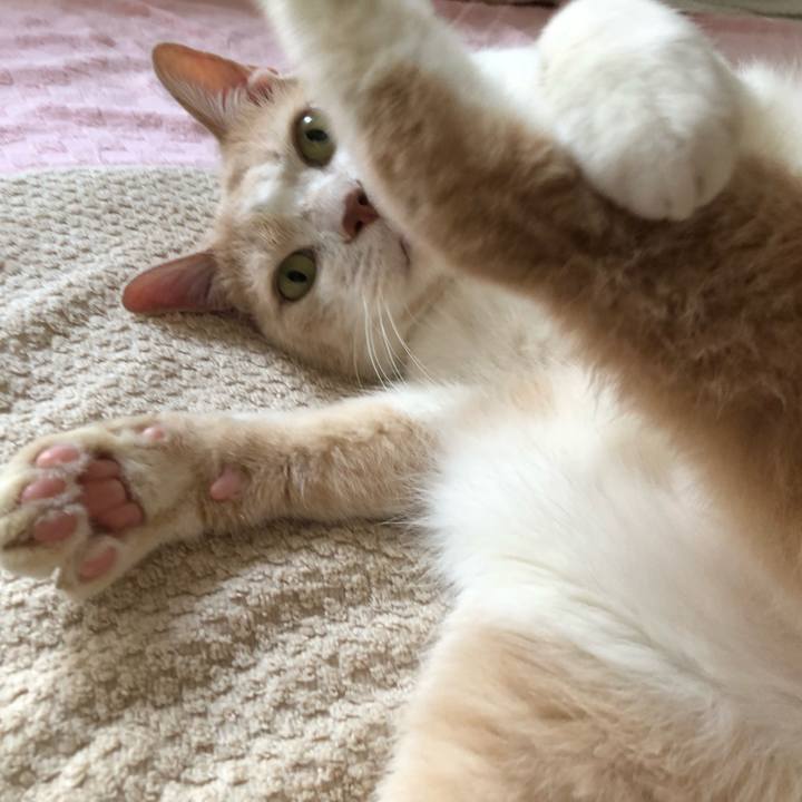 6ac262e8 c5e4 444c 8824 890f887c717e 1524380712778