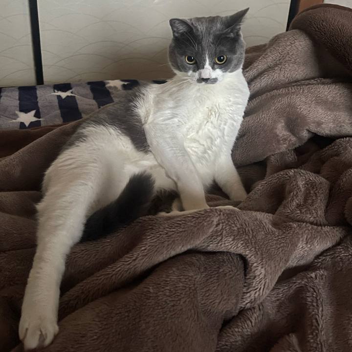 6ac2a6ce 0964 47ed 9a1e 7aafd400447a 1700206712753