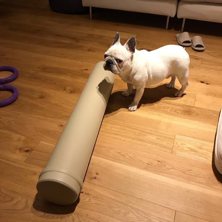 6ac2c377 96d8 4c4c 8c18 37a0ef06d391 1596023988353