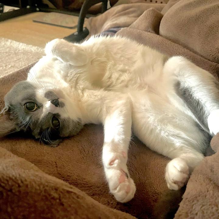 6ac2e606 ea18 4de2 ad67 ed92366dd1f4 1668468143943