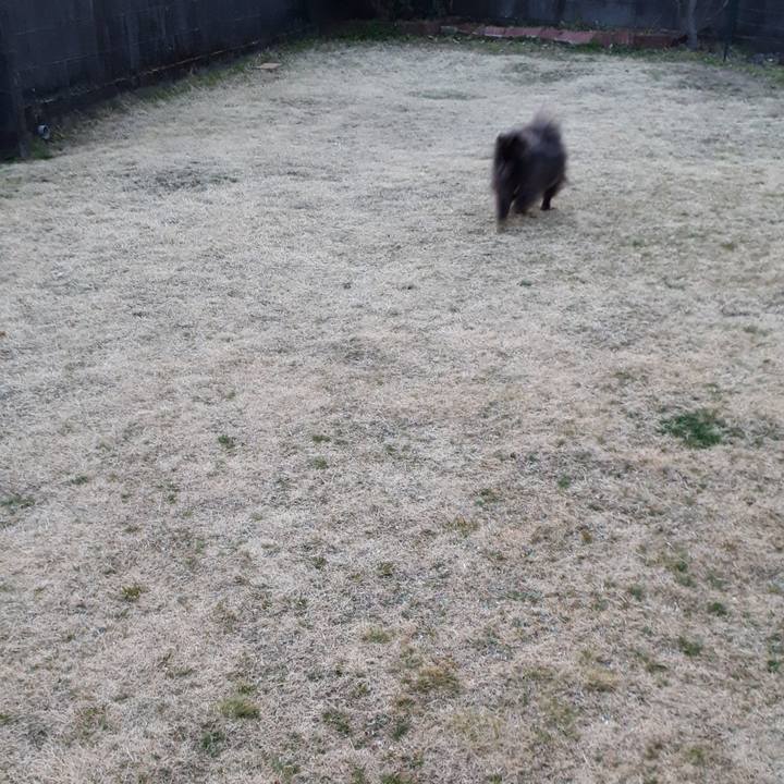 6ac2ee6c 13a9 4f28 85dc b32507652200 1519722105670