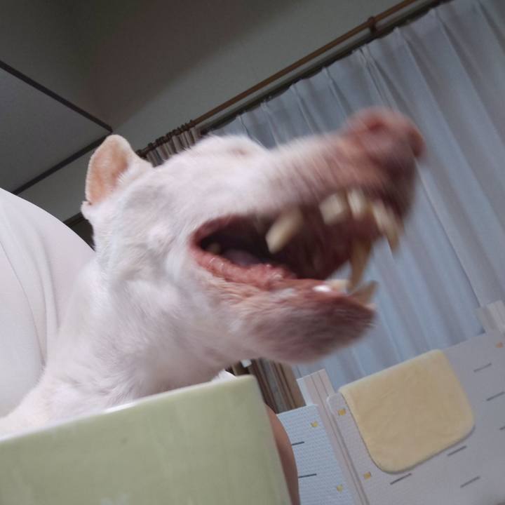 6ac306e5 01ca 4cbf 9ca8 0fa39b69aee8 1594075101586