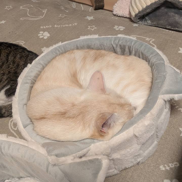 6ac308ef 42dd 4d64 bcea 028a8de2c345 1763198538391