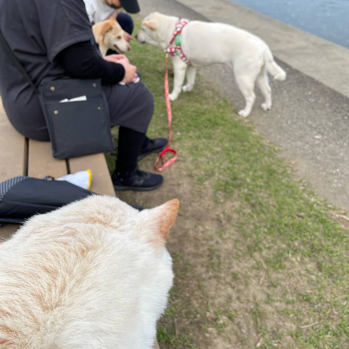 6ac30a52 b768 4780 b67f f4d1d78eb581 1648635070764