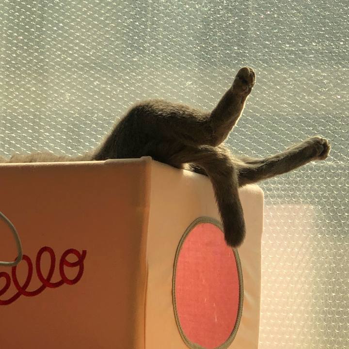 6ac33287 08fc 4394 bdbc 6934758cb0cb 1562746397865