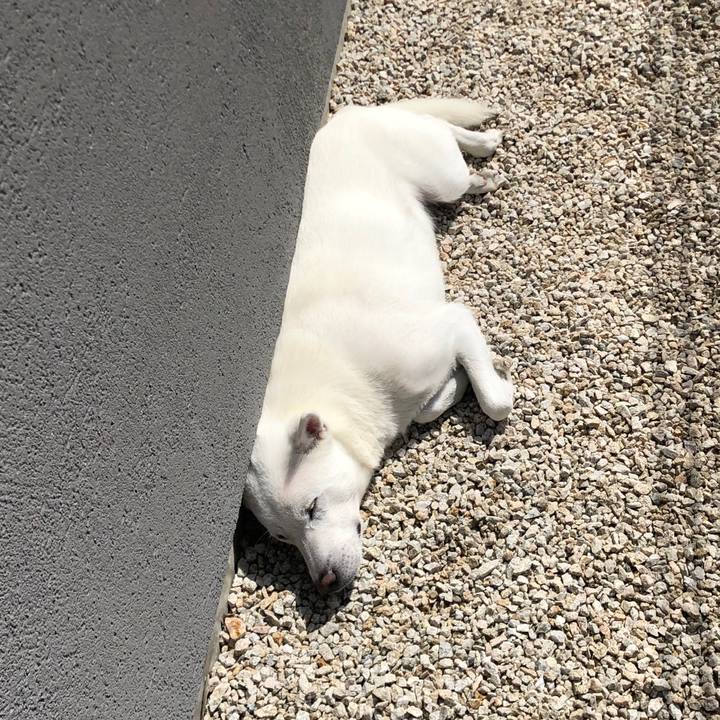 6ac36d55 e9ca 45c7 90f7 e232f0aa8479 1584591238917