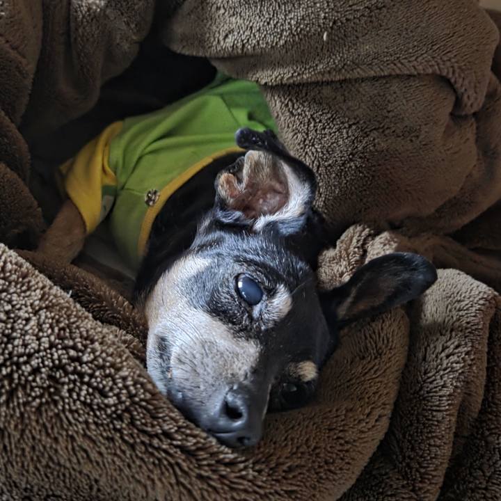 6ac36fa4 d967 4194 af40 1653491fdaff 1758323101167