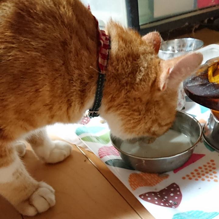 6ac3880d cdfd 43eb 9b1c 37f480a33dee 1597661220390