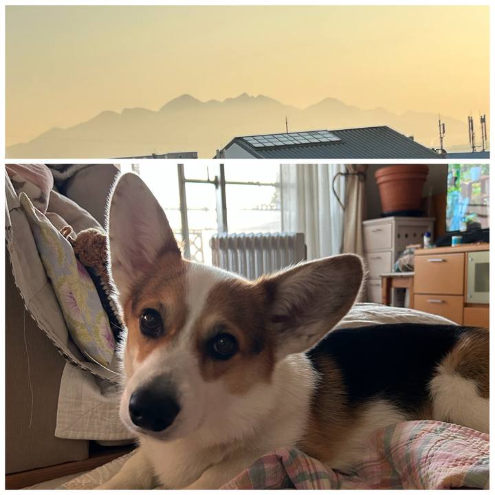 6ac38818 fb02 490d bd16 ccda941d3567 1768551572012