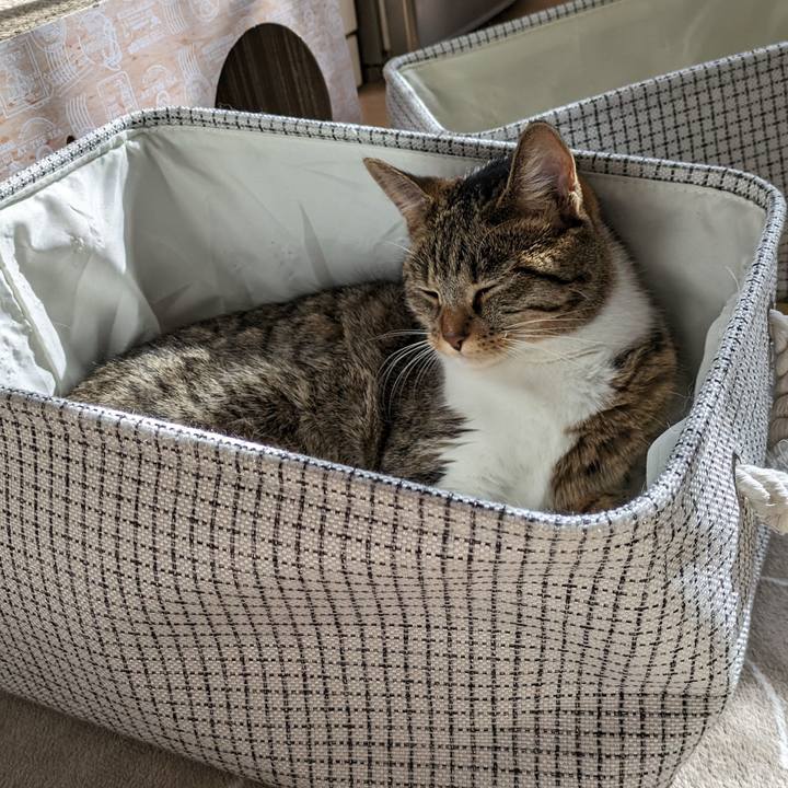 6ac3fcff 7271 4fe6 861c 7c434e20a364 1699703648202