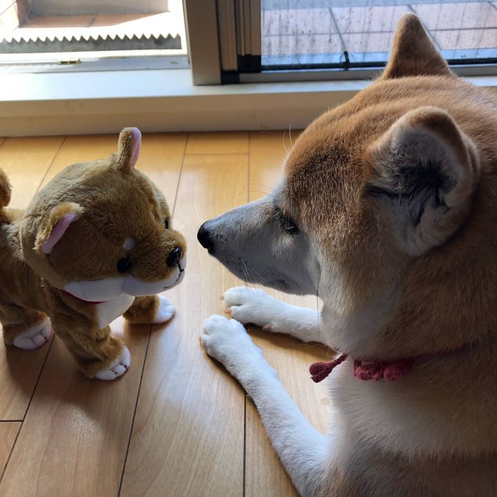 6ac3ff97 6289 4612 9913 598881c58899 1569203558911