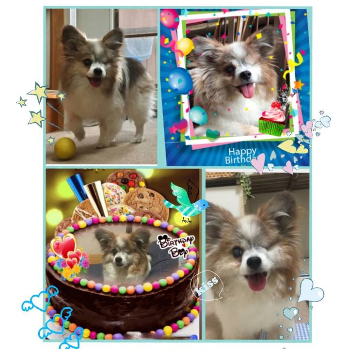 6ac40078 9826 4c3a b360 812fe66a4cc6 1536848146285