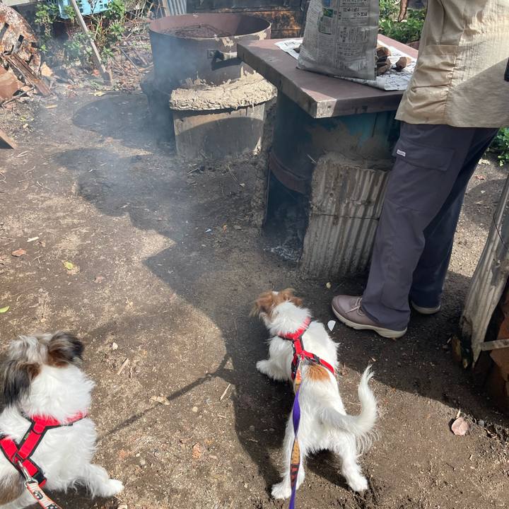 6ac41c64 4acc 4304 8ca3 2350936bac14 1761966589303