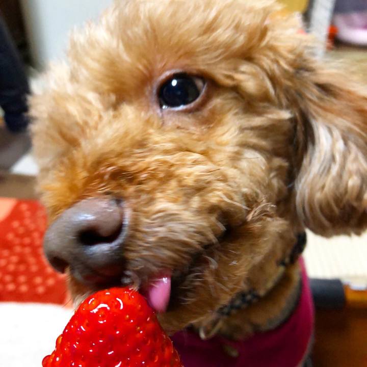 6ac444ae 4c79 4621 91bd 44a2a6e79189 1607157154038