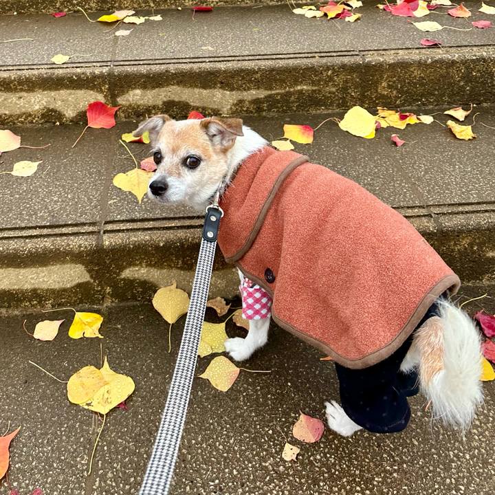 6ac475e4 653b 435d 96ba 3f70579e3e96 1670202905761