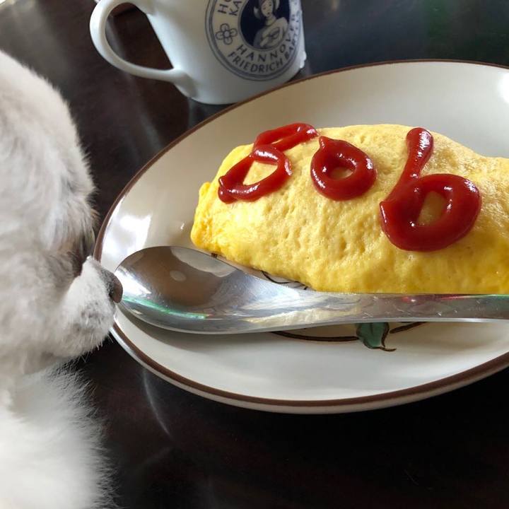 6ac4887b b318 40ac 8e60 8fd222e6f4d8 1604789137747