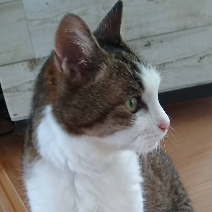 6ac488b9 e574 4288 a1aa 2290041e647f 1562495069633