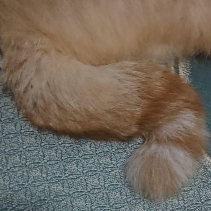 6ac496fe 4fec 48ad af8f b962f2298d99 1660829763867