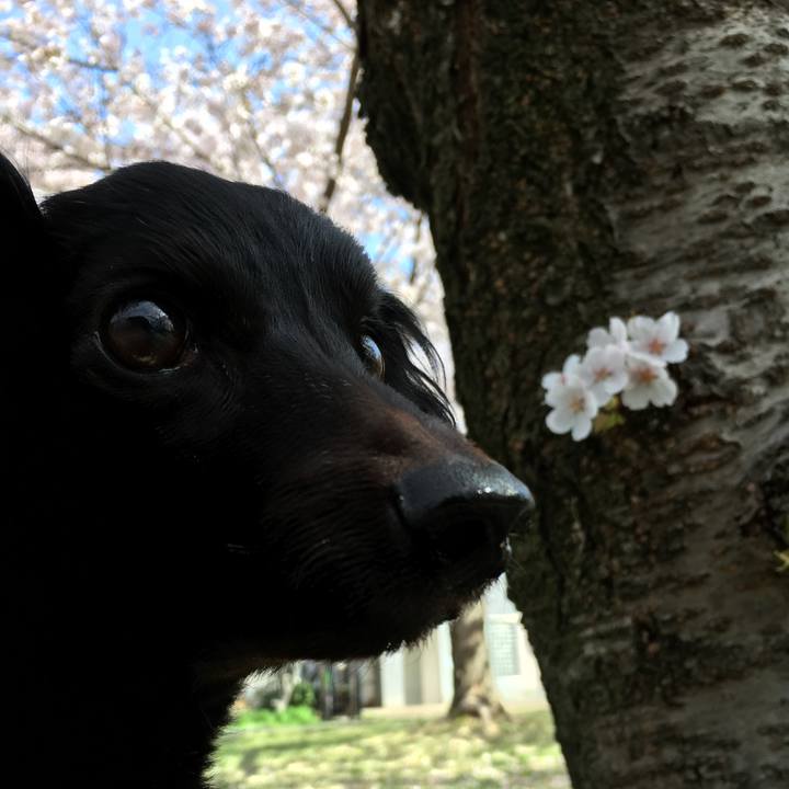 6ac51752 8b5e 4087 9f39 ba6e0c3a7d43 1712452585149