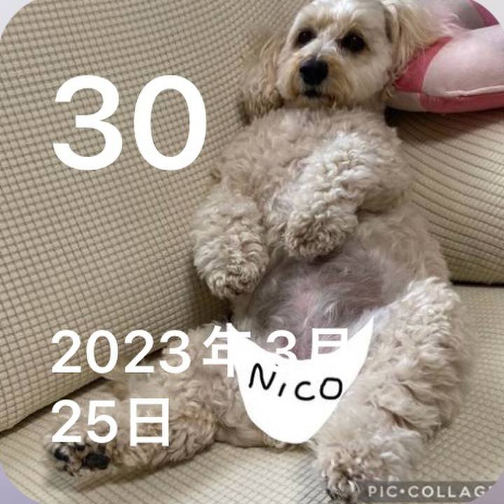 6ac55167 b51a 4d47 959a 11927e6c7111 1743317092507