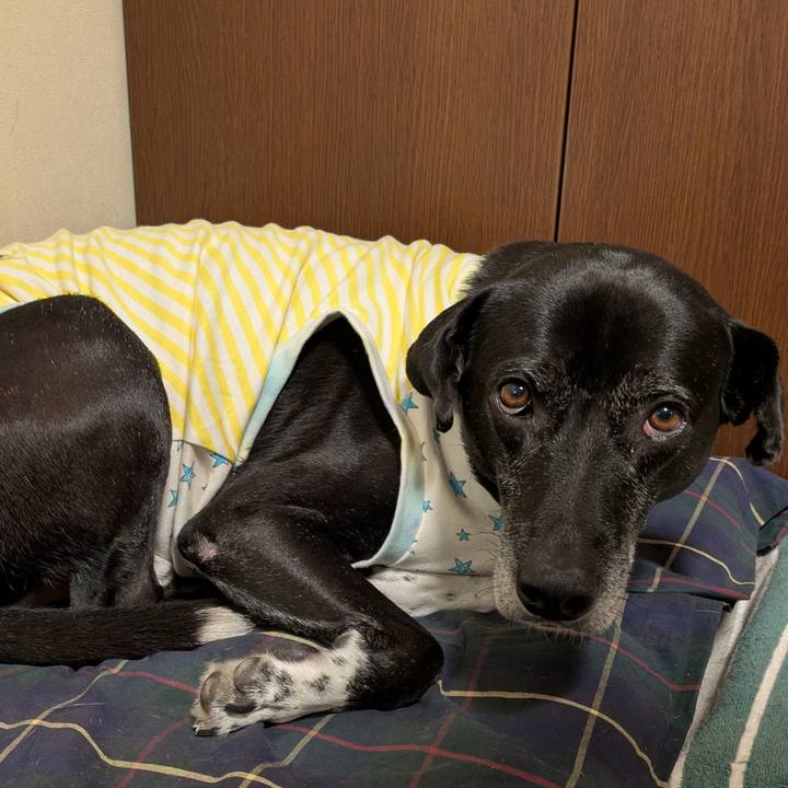 6ac5650c 3829 4c26 b7ef 46a1785e6084 1732059800525