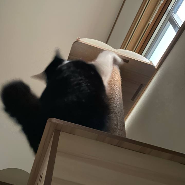 6ac5746b 44a1 4dbc ade0 8a5a496e19d6 1660852741070