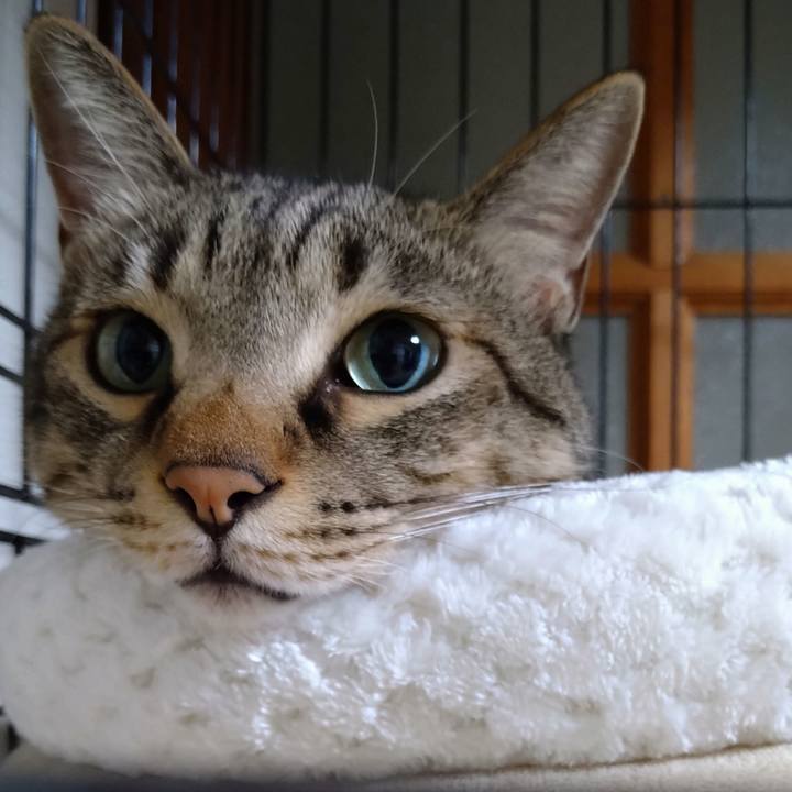 6ac578a7 61ff 46e6 880a 619a870181f1 1633952739559