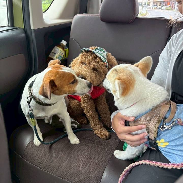 6ac5a5f9 e2ff 4204 8abf f4c047462eb9 1750029141276