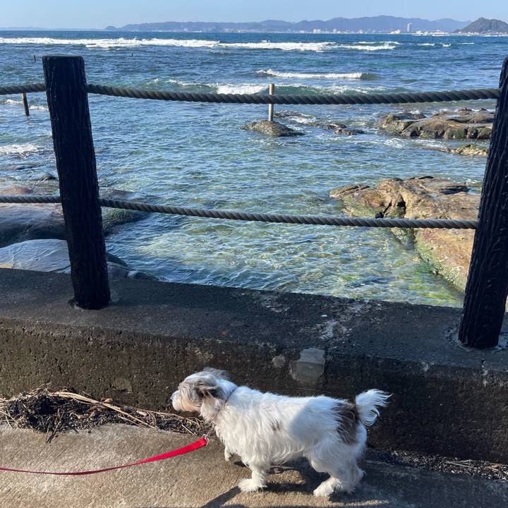 6ac5dd3b 308f 475f b6d9 324942826e27 1768533859468