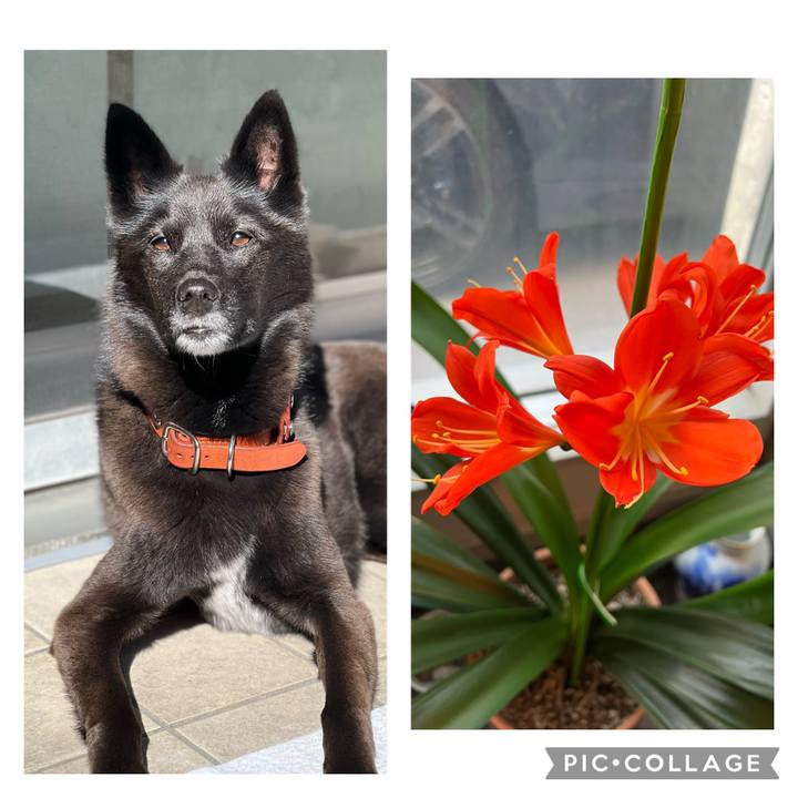 6ac5fc25 2346 4aa5 ad3f f08127f9ab29 1682158890021