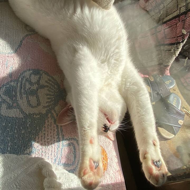 6ac616d3 018a 4ddb 8ed6 61ba7955d5fa 1572597702308