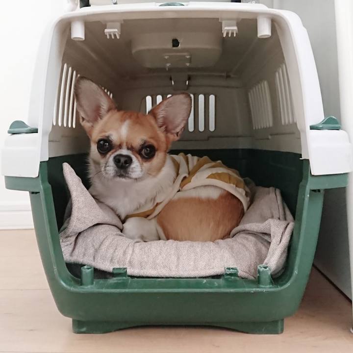 6ac635d4 f8d2 4213 a7d1 d8108ddcee06 1588154255942