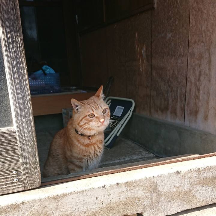 6ac63929 9cc3 4dc0 88e0 d6efb3621958 1649403564617