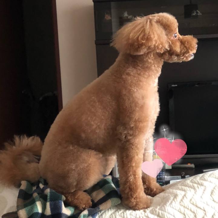 6ac65176 7fd3 4688 af8e 09a3976e646e 1510381232371