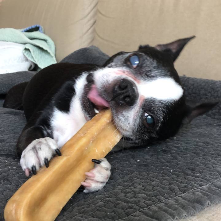 6ac66f1d 23c0 4230 b905 bc099b6fa400 1721126555053