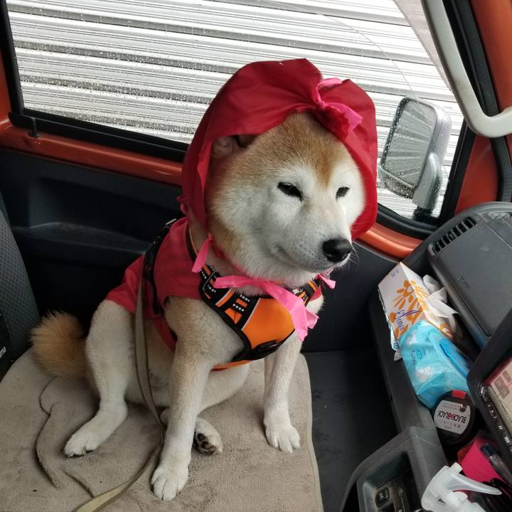 6ac6b340 15fb 4b15 ac44 e77115f2cb2e 1684469863382