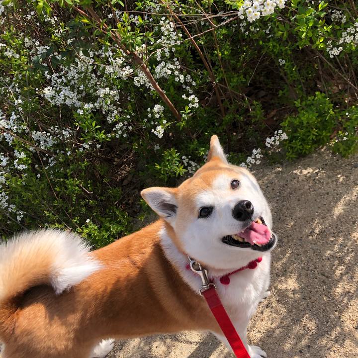 6ac7329d e6c6 44f0 b99a 2a7d373fe7ac 1615944830690