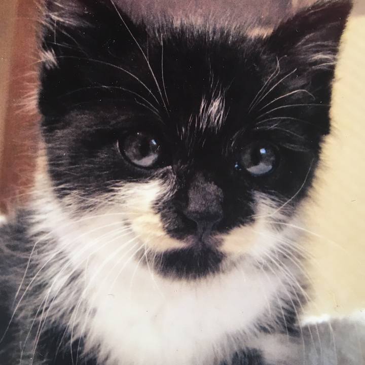 6ac756a3 5a19 4059 b19a 242cb89535f0 1526160019373